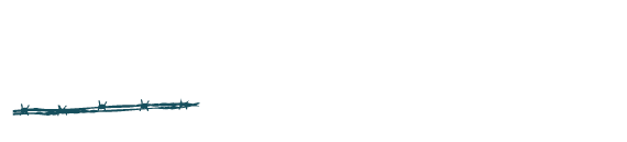 Festival Sahara Libre